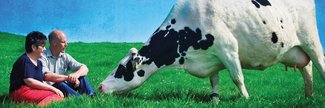 A Dairy Story