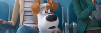 The Secret Life of Pets 2