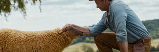 Babies Screening: The Sheep Detectives