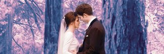 The Twilight Saga: Breaking Dawn Part 1