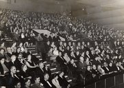 Curvilinear audience