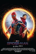 Spiderman poster