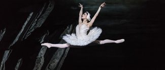 swan_lake._marianela_nunez_as_odette._c_roh_2018._photogrpahed_by_bill_cooper