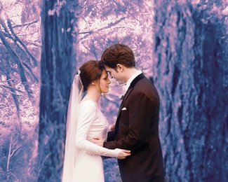 twilight_breaking_dawn_banner